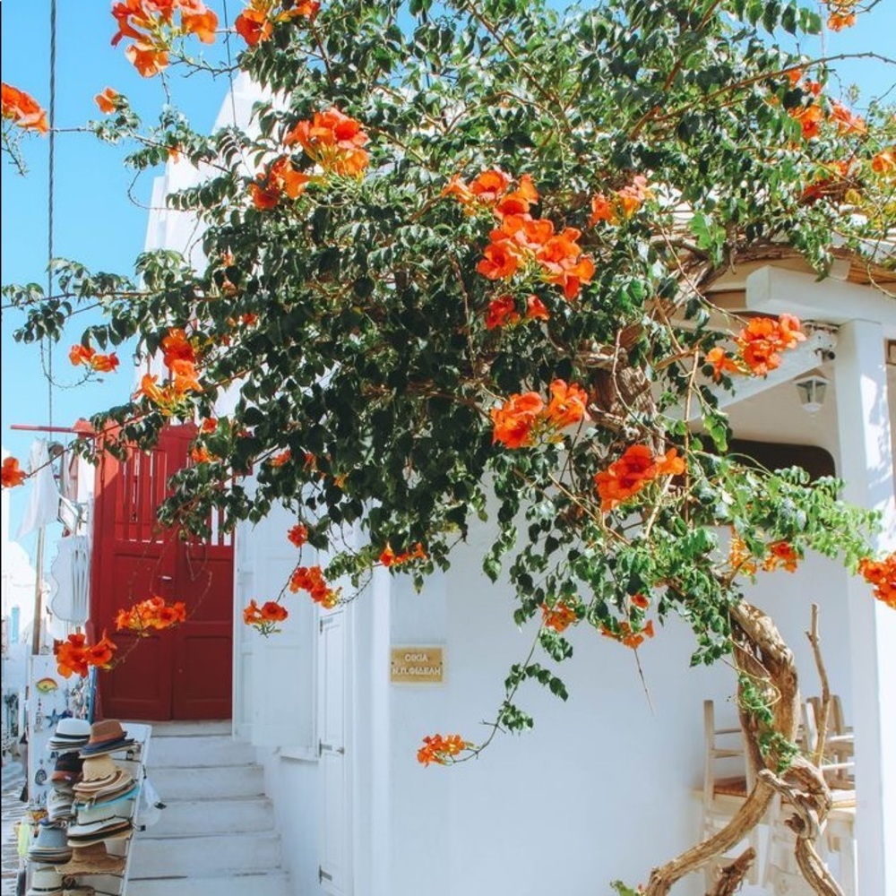 Meet your Posher, Stephanie Grau!